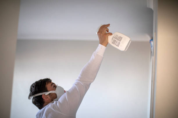 Best Mold Testing and Inspection Services in Prestbury, IL